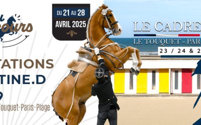 Résultats du jeu concours Cadre Noir Touquet