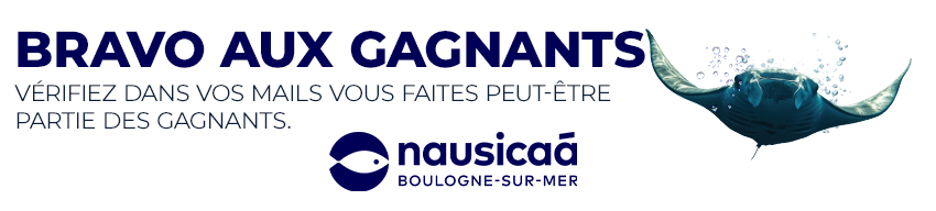 -Annonce Menu
