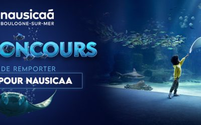Jeu concours – Nausicaa
