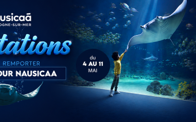 Résultats jeu concours – Nausicaa 2026